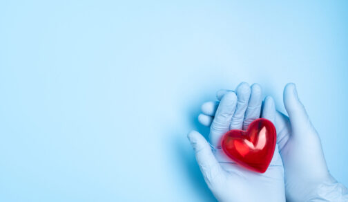 The hand wearing blue medical glove holding a red heart model for concept doctors treat and care for patients with heart or cardiology heart disease.